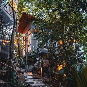 Warehouse , Ko Tao Tailandia